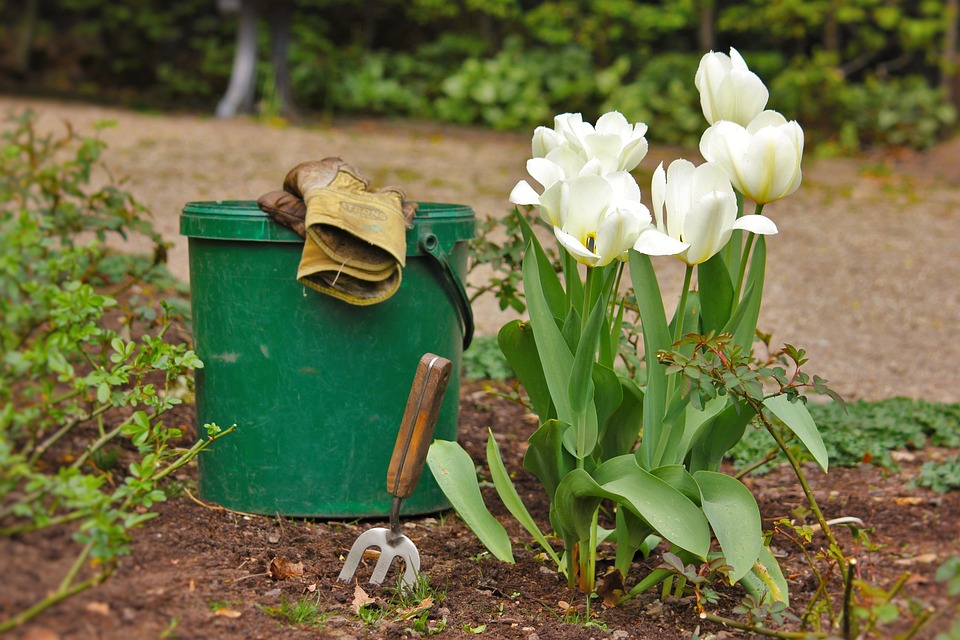 entretien de jardins