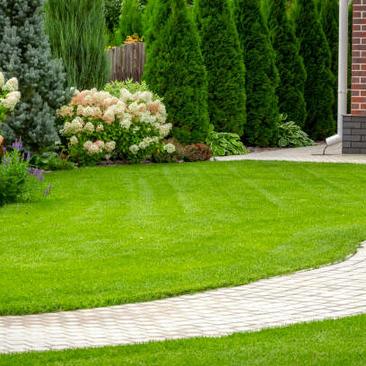 Freshly cut grass in the backyard of a private house. Freshly cut grass in the backyard of a private house.